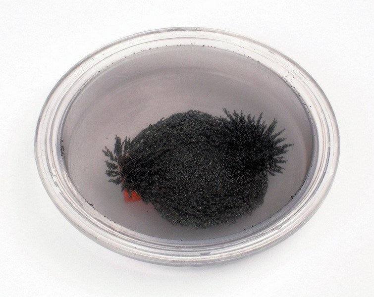 Round Iron Filings Bubble Pack of 10 - ABC School Supplies