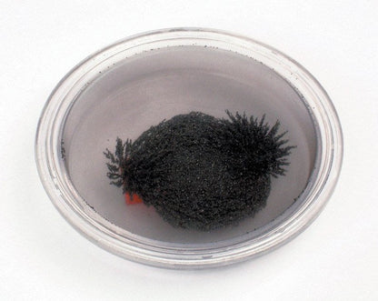 Round Iron Filings Bubble Pack of 10 - ABC School Supplies