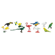 **Safari Exotic Birds Toob - ABC School Supplies