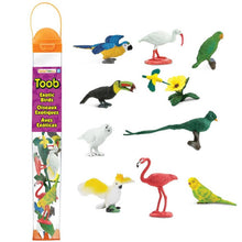 **Safari Exotic Birds Toob - ABC School Supplies