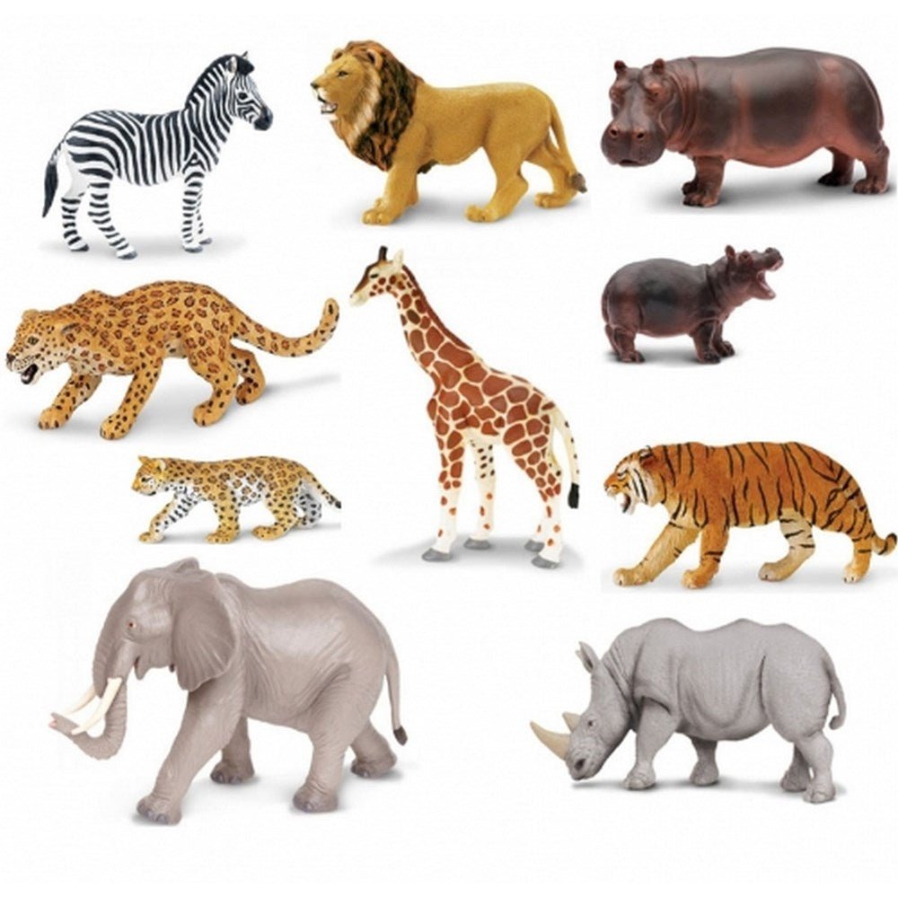 Safari Jungle Set - ABC School Supplies