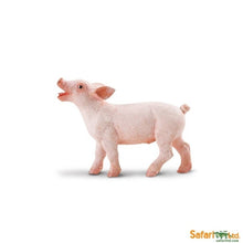 **Safari Piglet - ABC School Supplies