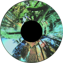 Seasoned Woods - Projection Sensory Toy - ABC School Supplies