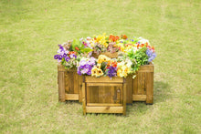 See - Through Plant Route Planter - ABC School Supplies