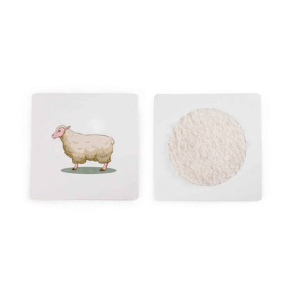 **Sensory Toys Textured Hand Feel Plates - ABC School Supplies