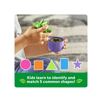 Shape & Colour Garden - ABC School Supplies