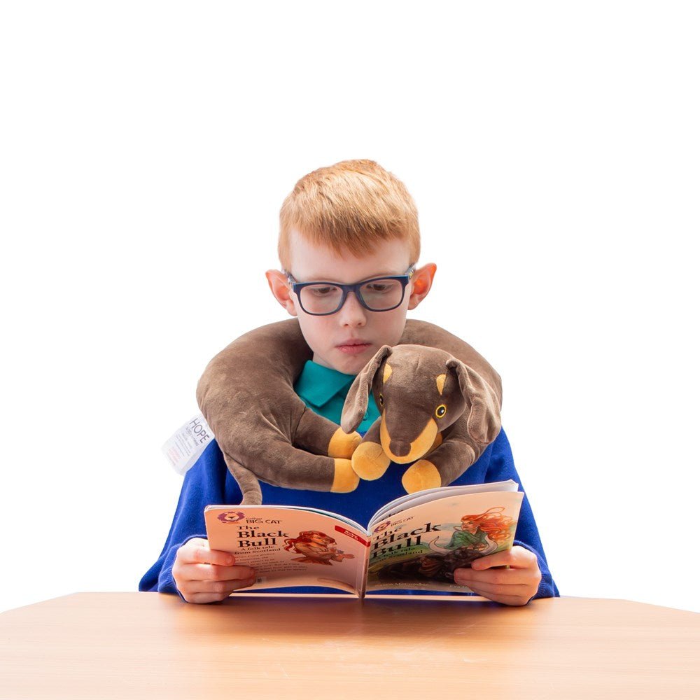 Weighted Dog Wrap - ABC School Supplies