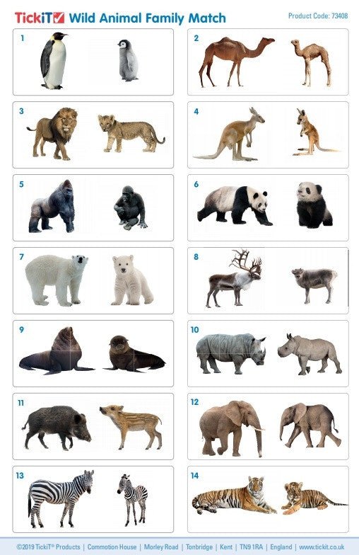 **Wild Animal Family Match Pack Of 28 - ABC School Supplies