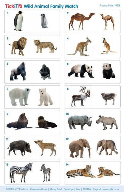 **Wild Animal Family Match Pack Of 28 - ABC School Supplies