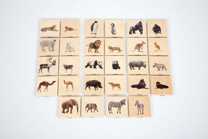 **Wild Animal Family Match Pack Of 28 - ABC School Supplies