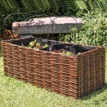 Willow Planter - ABC School Supplies