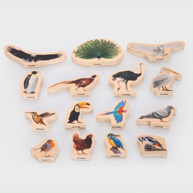 Wooden Bird Blocks 15 Pack - ABC School Supplies