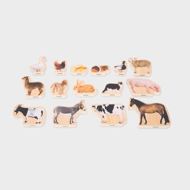 Wooden Domestic Animal Blocks - 15 Pack - ABC School Supplies