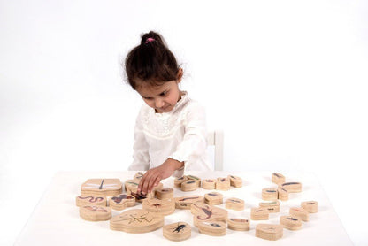 **Wooden Minibeast Blocks - Pk33 - ABC School Supplies