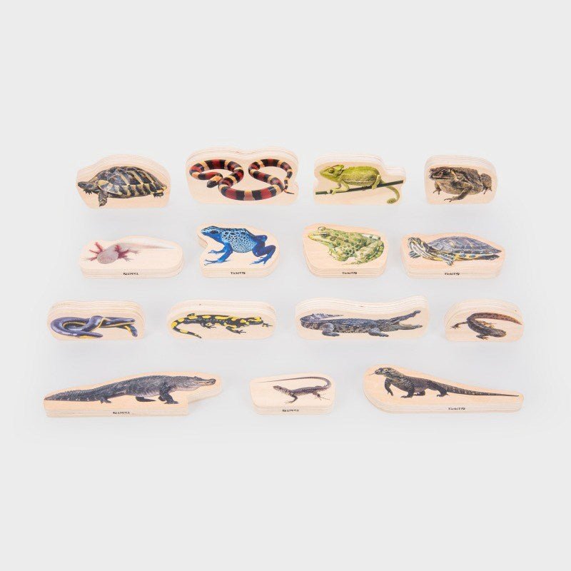 Wooden Reptile & Amphibian Blocks - 15 Pack - ABC School Supplies