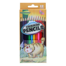 World Of Colour Colouring Pencils Full Size Pack Of 12 - ABC School Supplies